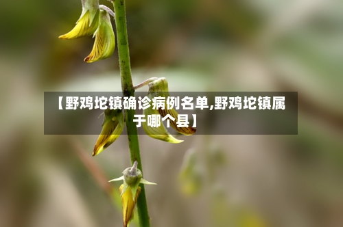【野鸡坨镇确诊病例名单,野鸡坨镇属于哪个县】-第2张图片