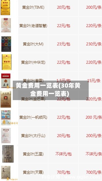 黄金费用一览表(30年黄金费用一览表)-第3张图片