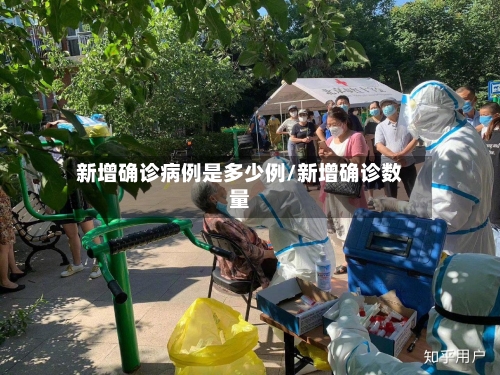 新增确诊病例是多少例/新增确诊数量
