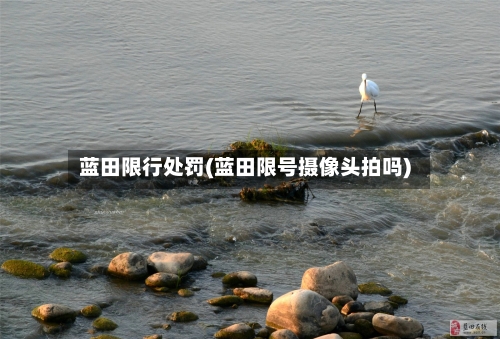 蓝田限行处罚(蓝田限号摄像头拍吗)