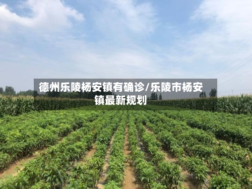 德州乐陵杨安镇有确诊/乐陵市杨安镇最新规划