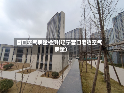 营口空气质量检测(辽宁营口老边空气质量)-第2张图片