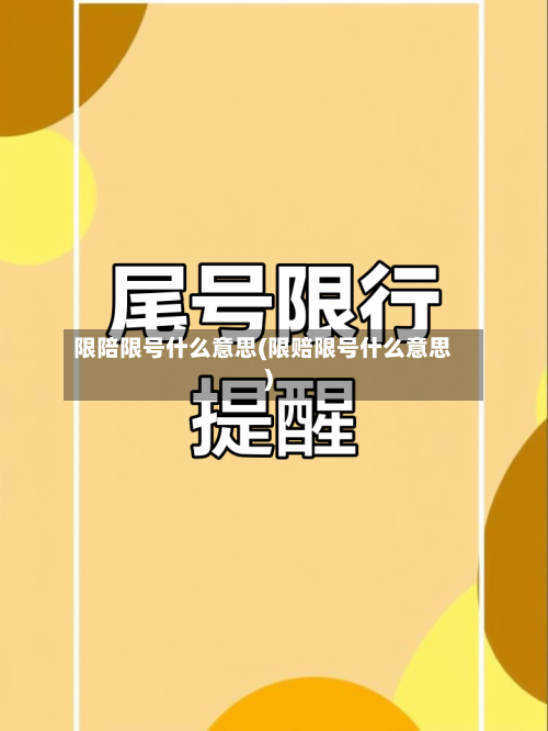 限陪限号什么意思(限赔限号什么意思)-第2张图片