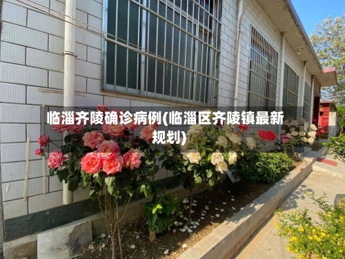 临淄齐陵确诊病例(临淄区齐陵镇最新规划)-第3张图片