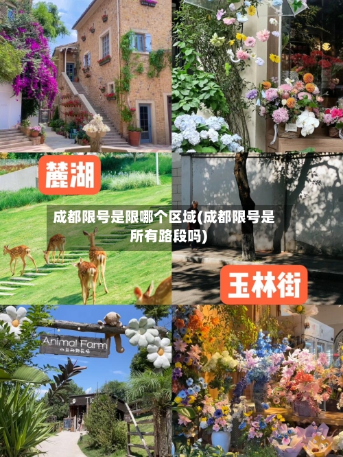 成都限号是限哪个区域(成都限号是所有路段吗)-第2张图片