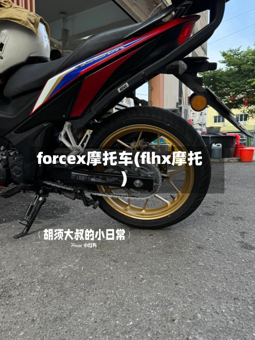 forcex摩托车(flhx摩托)