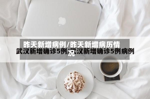 昨天新增病例/昨天新增病历情况