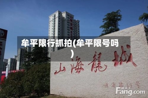牟平限行抓拍(牟平限号吗)-第2张图片