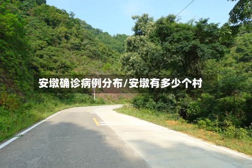 安墩确诊病例分布/安墩有多少个村-第3张图片