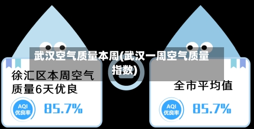 武汉空气质量本周(武汉一周空气质量指数)-第3张图片