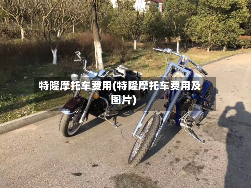 特隆摩托车费用(特隆摩托车费用及图片)-第3张图片