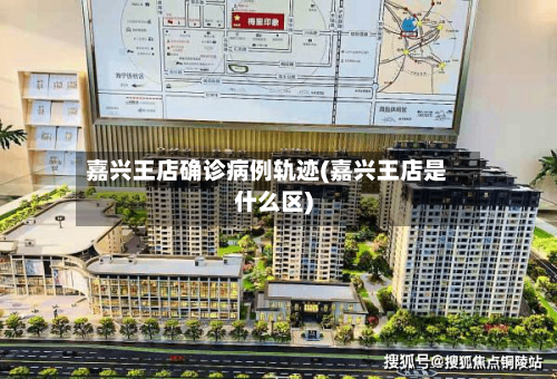 嘉兴王店确诊病例轨迹(嘉兴王店是什么区)-第2张图片