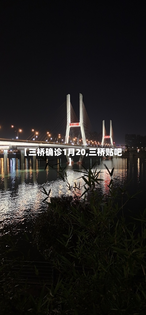 【三桥确诊1月20,三桥贴吧】-第3张图片