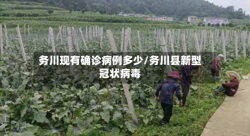 务川现有确诊病例多少/务川县新型冠状病毒