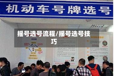 摇号选号流程/摇号选号技巧-第2张图片