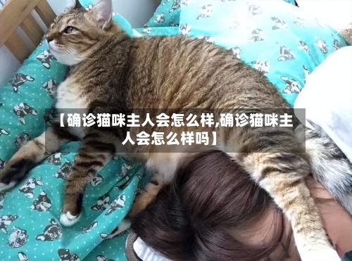 【确诊猫咪主人会怎么样,确诊猫咪主人会怎么样吗】-第2张图片