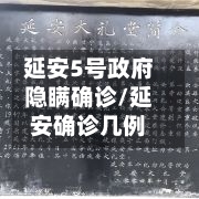 延安5号政府隐瞒确诊/延安确诊几例-第2张图片