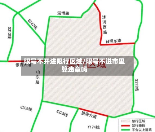 限号不开进限行区域/限号不进市里算违章吗