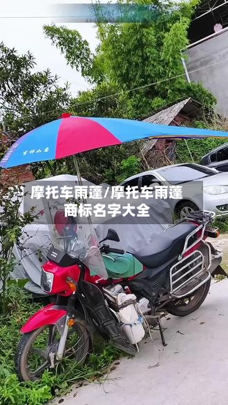 摩托车雨蓬/摩托车雨蓬商标名字大全