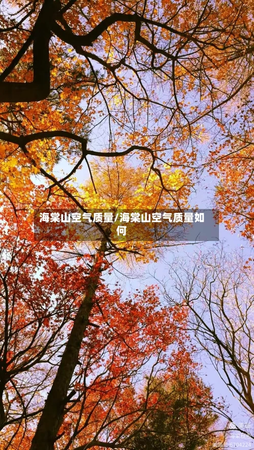 海棠山空气质量/海棠山空气质量如何-第2张图片
