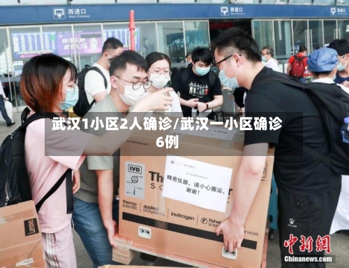 武汉1小区2人确诊/武汉一小区确诊6例