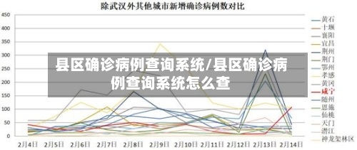 县区确诊病例查询系统/县区确诊病例查询系统怎么查