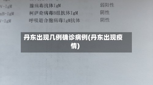 丹东出现几例确诊病例(丹东出现疫情)