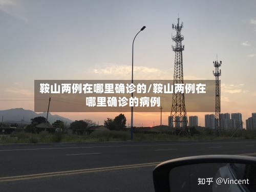 鞍山两例在哪里确诊的/鞍山两例在哪里确诊的病例