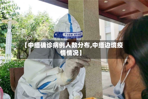 【中缅确诊病例人数分布,中缅边境疫情情况】