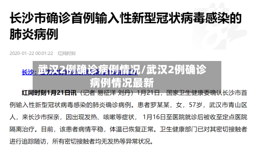 武汉2例确诊病例情况/武汉2例确诊病例情况最新-第2张图片