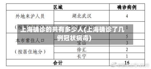 上海确诊的共有多少人(上海确诊了几例冠状病毒)-第2张图片