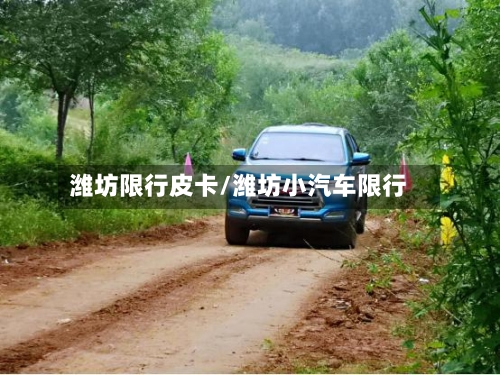 潍坊限行皮卡/潍坊小汽车限行-第2张图片