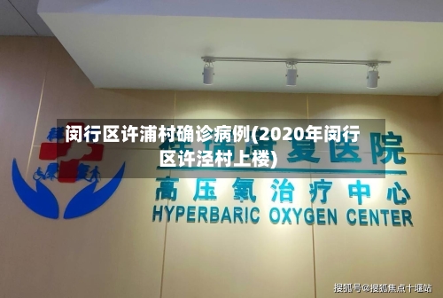 闵行区许浦村确诊病例(2020年闵行区许泾村上楼)-第2张图片