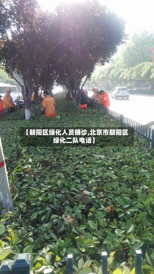 【朝阳区绿化人员确诊,北京市朝阳区绿化二队电话】-第3张图片