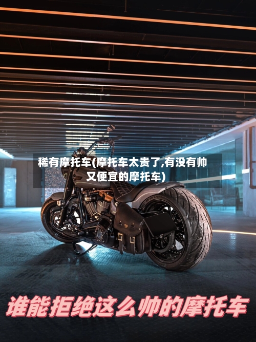 稀有摩托车(摩托车太贵了,有没有帅又便宜的摩托车)-第2张图片