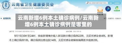 云南新增6例本土确诊病例/云南新增6例本土确诊病例是哪里的-第3张图片