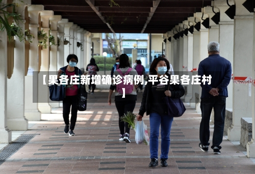 【果各庄新增确诊病例,平谷果各庄村】