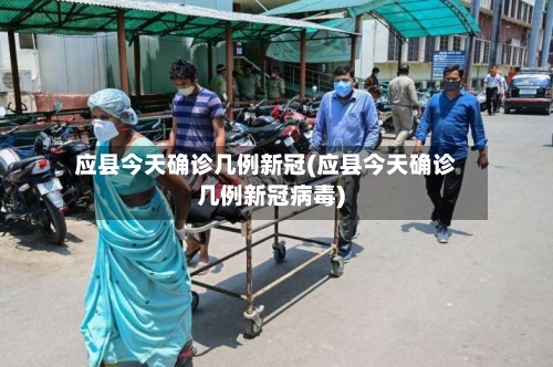 应县今天确诊几例新冠(应县今天确诊几例新冠病毒)-第2张图片