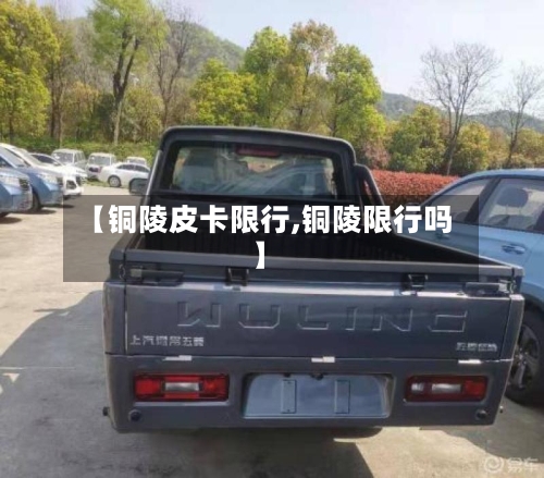 【铜陵皮卡限行,铜陵限行吗】-第2张图片