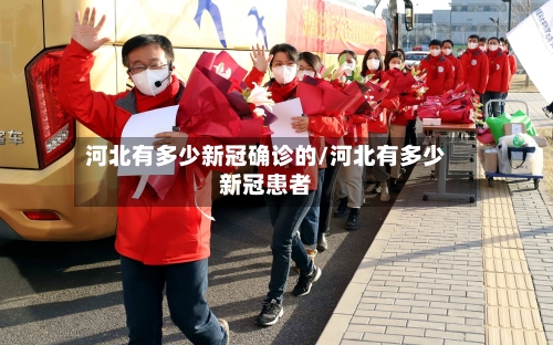 河北有多少新冠确诊的/河北有多少新冠患者-第3张图片