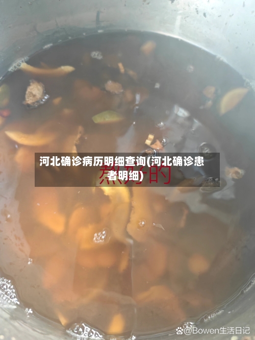 河北确诊病历明细查询(河北确诊患者明细)-第3张图片