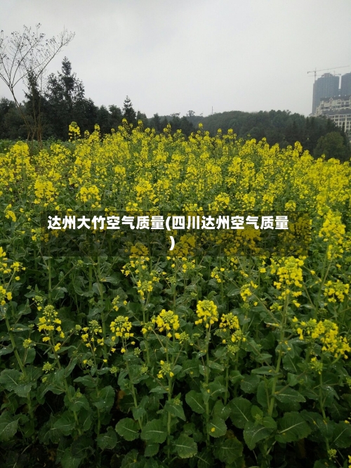 达州大竹空气质量(四川达州空气质量)-第2张图片