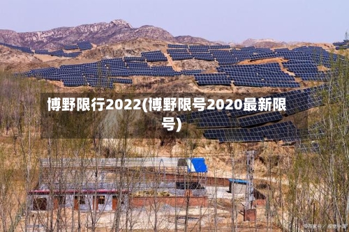博野限行2022(博野限号2020最新限号)-第3张图片