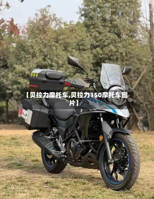 【贝拉力摩托车,贝拉力150摩托车图片】