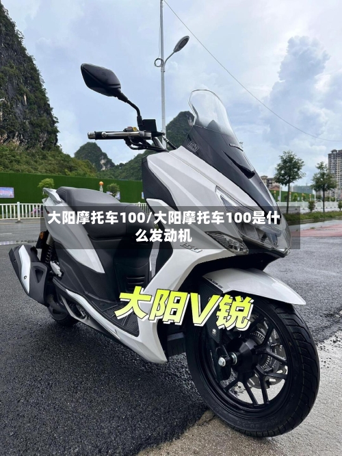 大阳摩托车100/大阳摩托车100是什么发动机