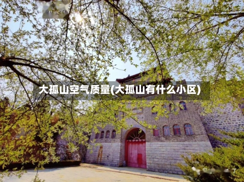 大孤山空气质量(大孤山有什么小区)