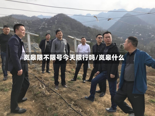 岚皋限不限号今天限行吗/岚皋什么-第2张图片
