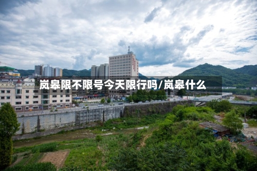 岚皋限不限号今天限行吗/岚皋什么-第3张图片