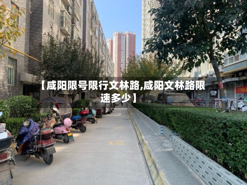 【咸阳限号限行文林路,咸阳文林路限速多少】