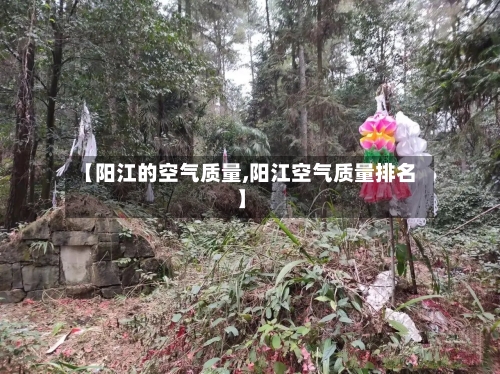 【阳江的空气质量,阳江空气质量排名】